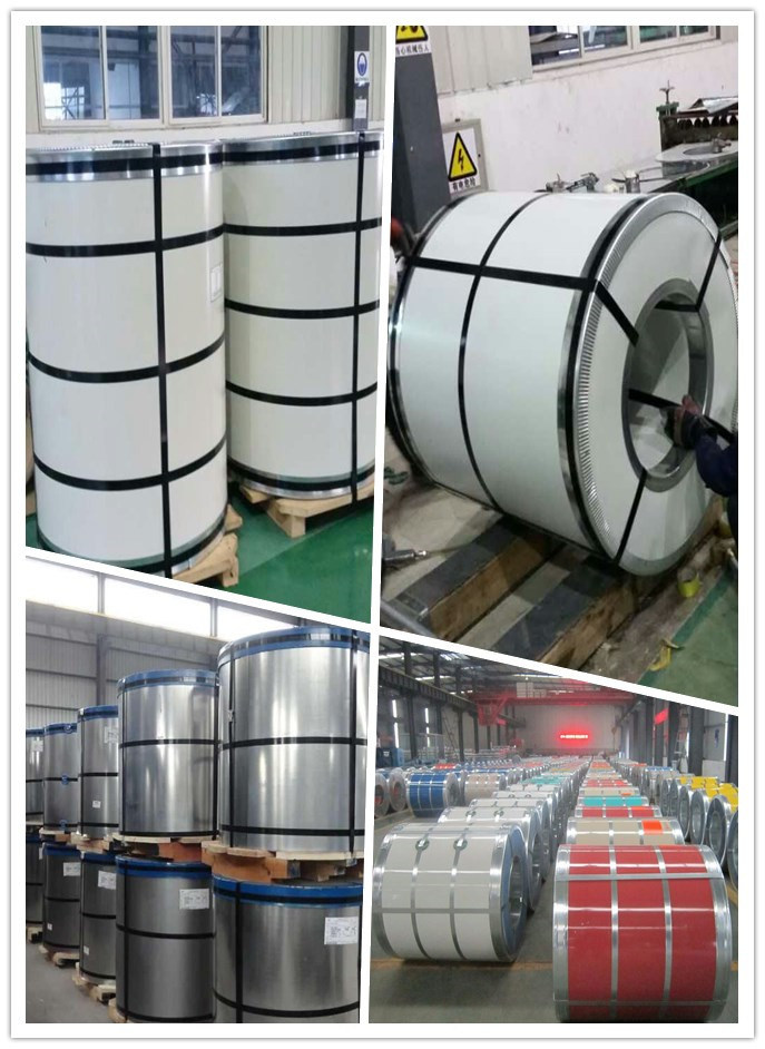 Prime Color Coated Prepainted Cold Rolled Steel Plate/Coil