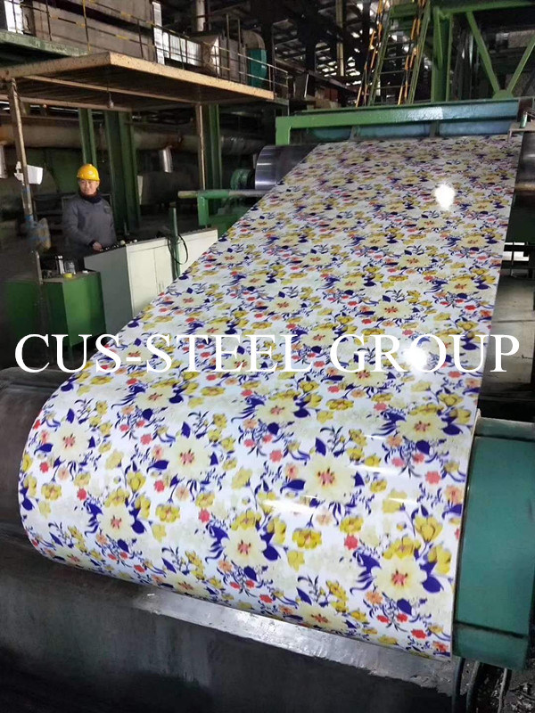 Colourful Heat Insulation Printed Pattern Galvabond Steel Sheet in Coil