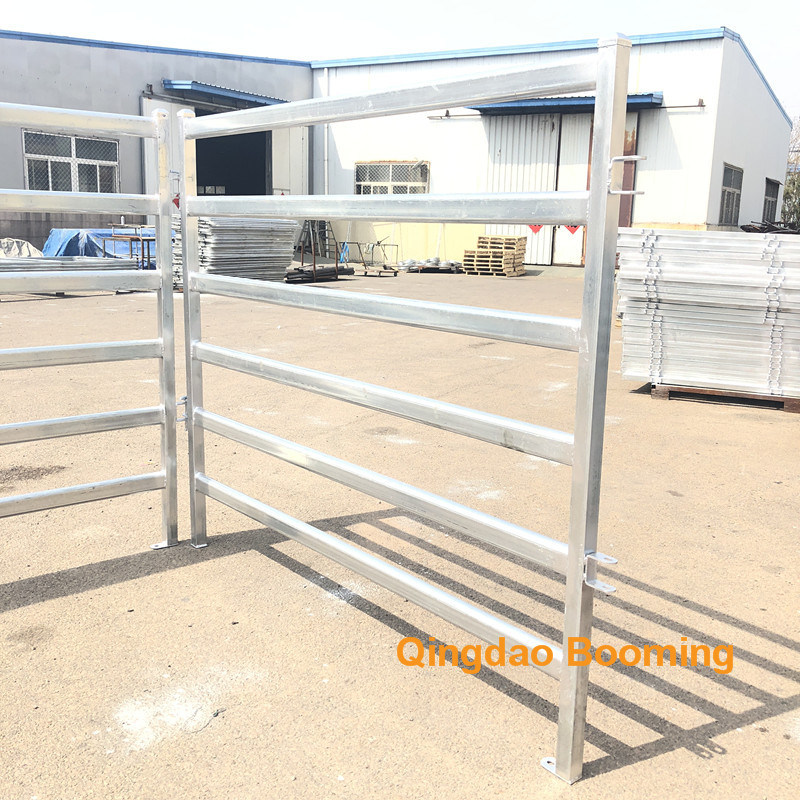 Hot Dipped Galvanized Cattle Headlock Panels