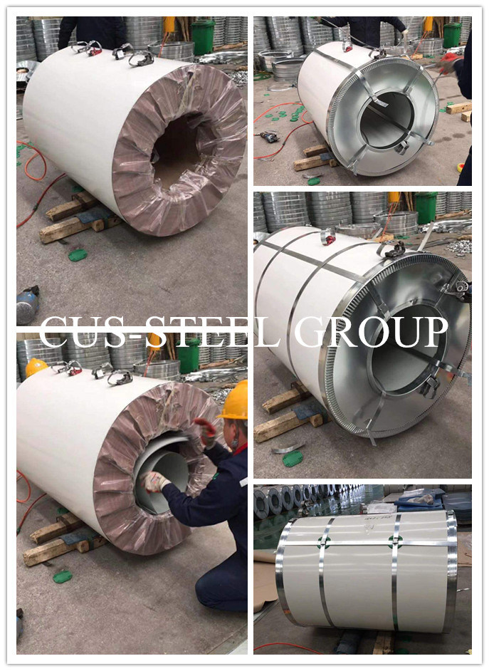 Printed Design Flower Color Coated PPGI Steel Sheet in Coil