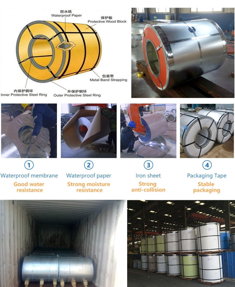 G550/CGCC/TDC51D+Z Galvanised Steel in Coil/Galvanized Iron Steel Sheet