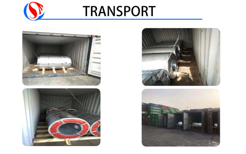 Top Quality China Galvanized Steel in Sheets/ Coil (GI) SPCC