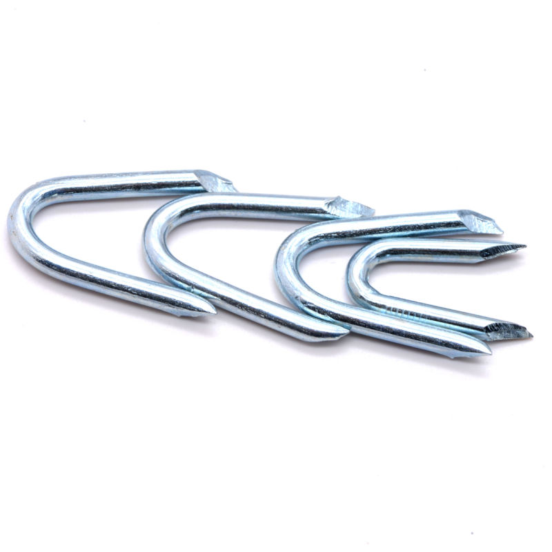 China Wholesale Hot Dipped Galvanized U Shaped Curved Nails Galvanized Fence Staple