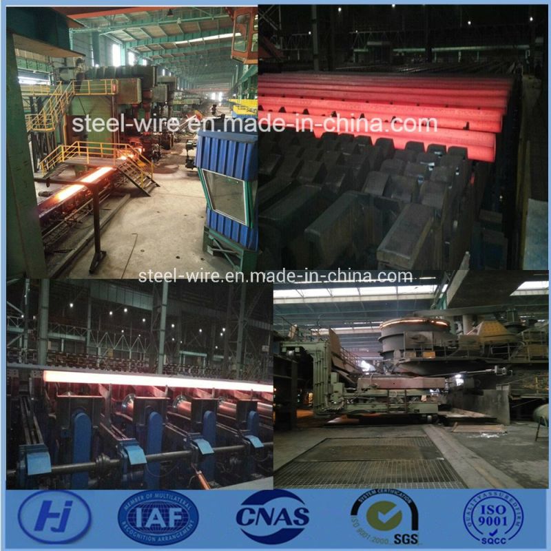 Miniature Cold Drawn Shaped Steel Bar for Linear Guide Rail