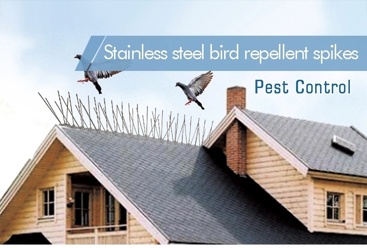 Custom Durable Galvanised Metal Anti Bird Spikes/ Metal Basic Galvanised Metal Bird Control Spike Roost Modification