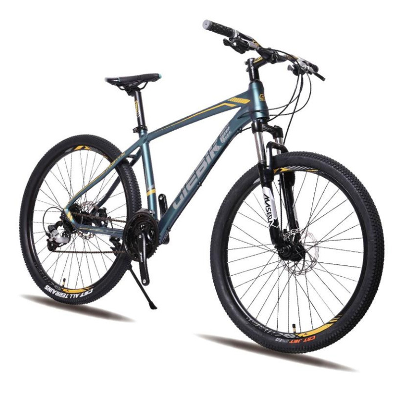 Light Weight Carbon Bike 29 Inch Bicicletas 29 Carbon Mountain Bike