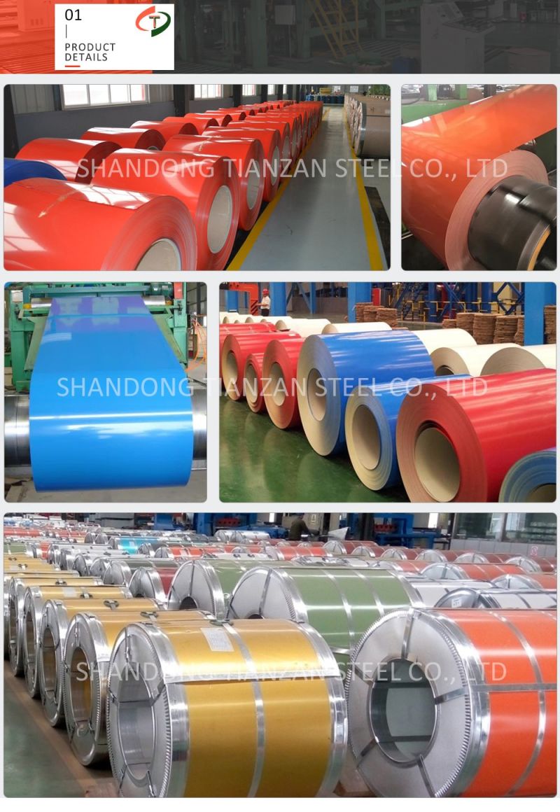 Prepainted Color Coils Galvanized Steel Plate Sheet A36 0.48mm