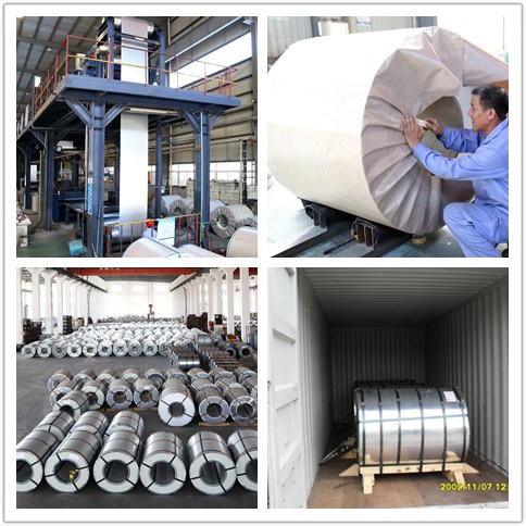 Regular Spangle Hot DIP Galvanized Steel Coil