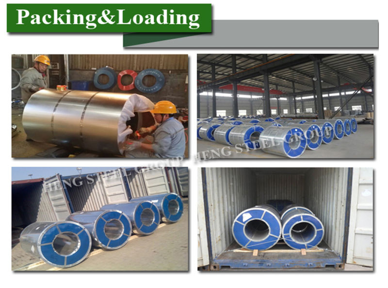 Zinc Coated Gi Hot Dipped Steel Coil for Steel Sheet