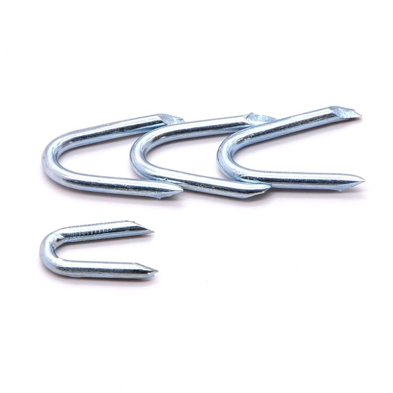 China Wholesale Hot Dipped Galvanized U Shaped Curved Nails Galvanized Fence Staple