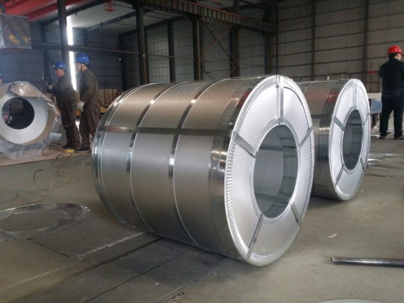 Dx51d Steel Roll Galvanized Steel Coil for Sheet