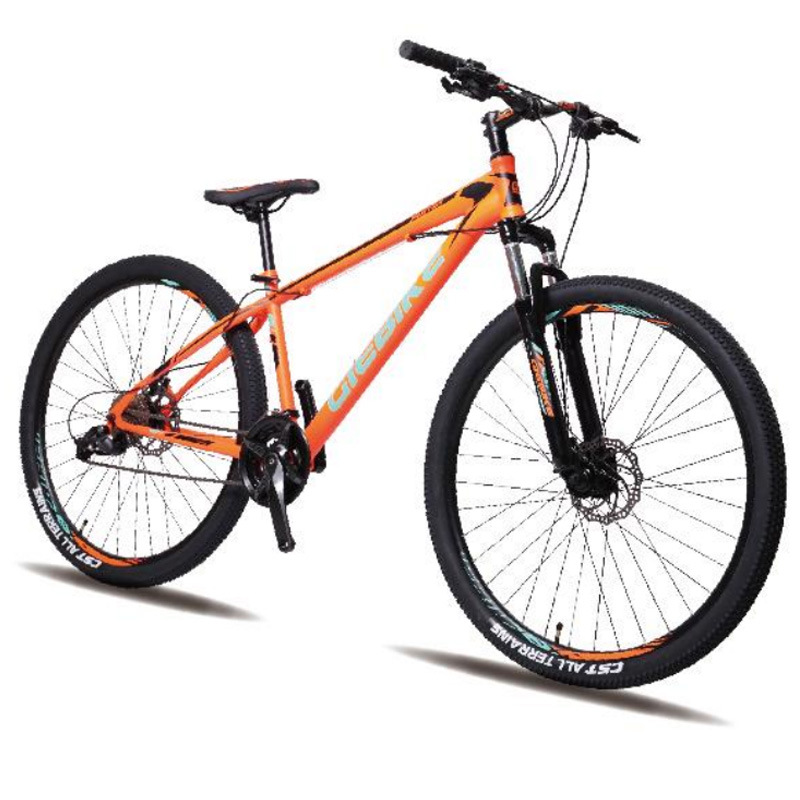 Light Weight Carbon Bike 29 Inch Bicicletas 29 Carbon Mountain Bike