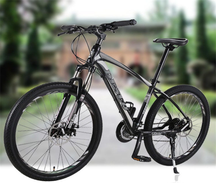 Aluminum 29 MTB Bike Bicicleta Aluminio 29 Bicycle