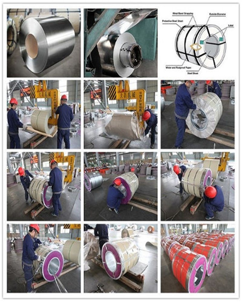 ASTM A653m Z40 914mm Galvanized Steel Coil /Coated Galvanized Sheet in Coil