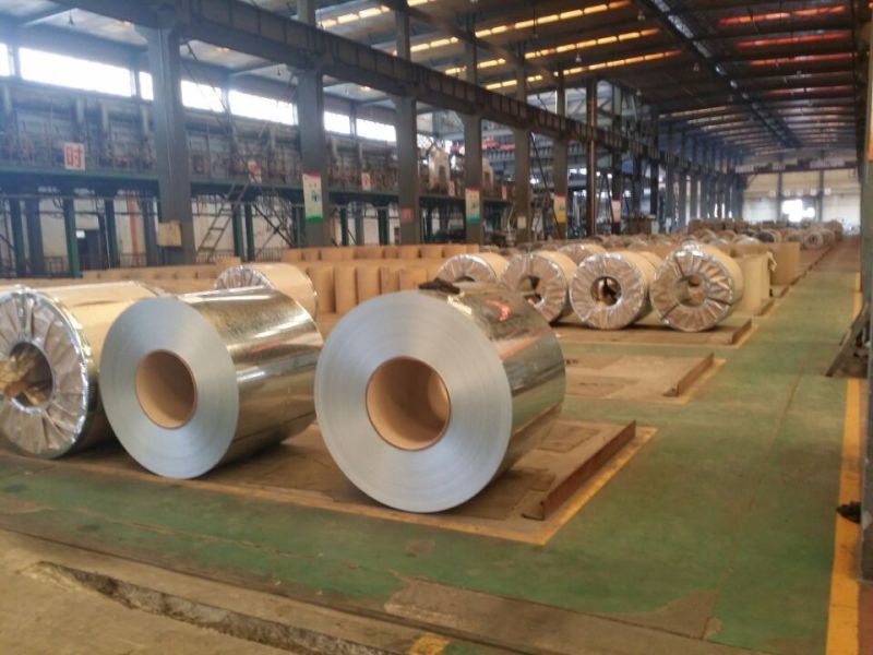 Dx51d Steel Roll Galvanized Steel Coil for Sheet