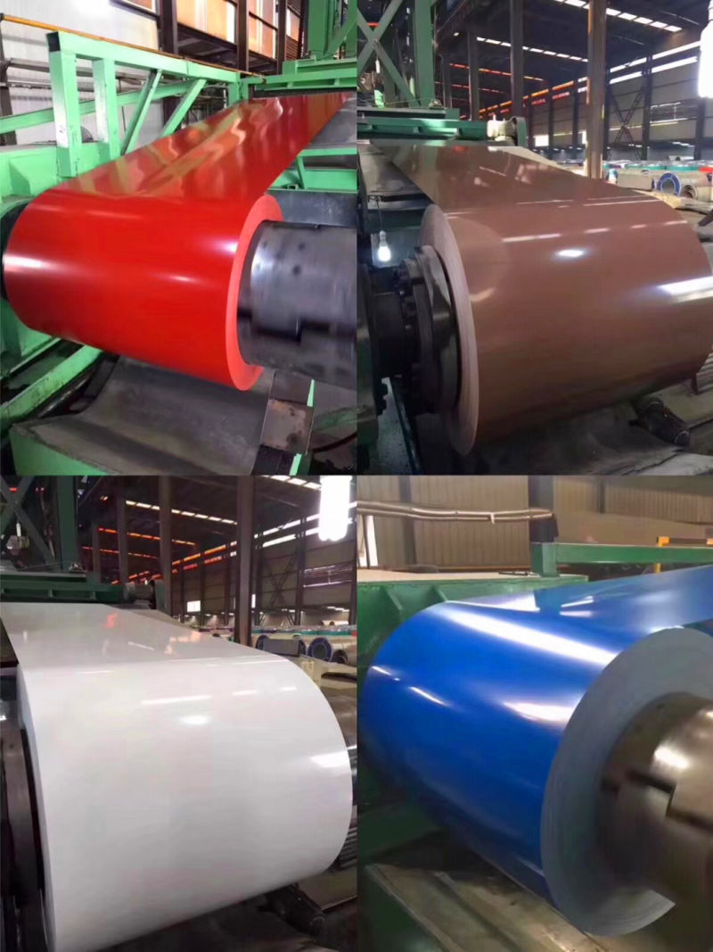 High Quality PPGI Coil/Coil/Prepainted Galvanized Steel Price