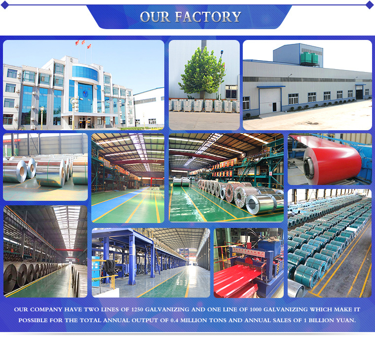 Prepainted Galvanized Steel Coils Manufacturer Bis Certificate in Vietnam