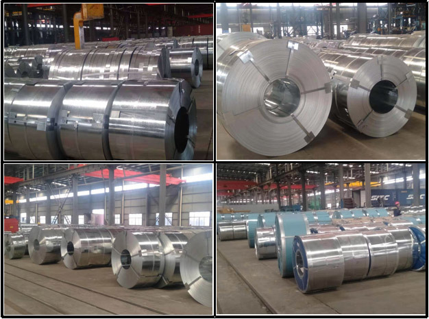 Coils Dx51d Z100 Galvanized Steel Coil/Galvanized Sheet Metal Roll