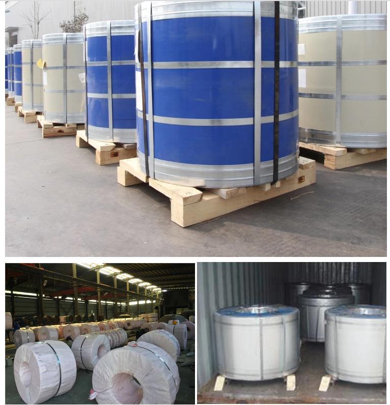 Factory Direct Galvanized Steel Coil Galvanized Galvanized Coils