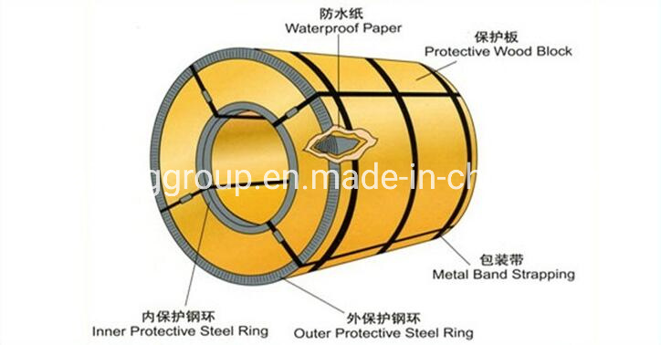 High Quality PPGI Coil/Coil/Prepainted Galvanized Steel Price