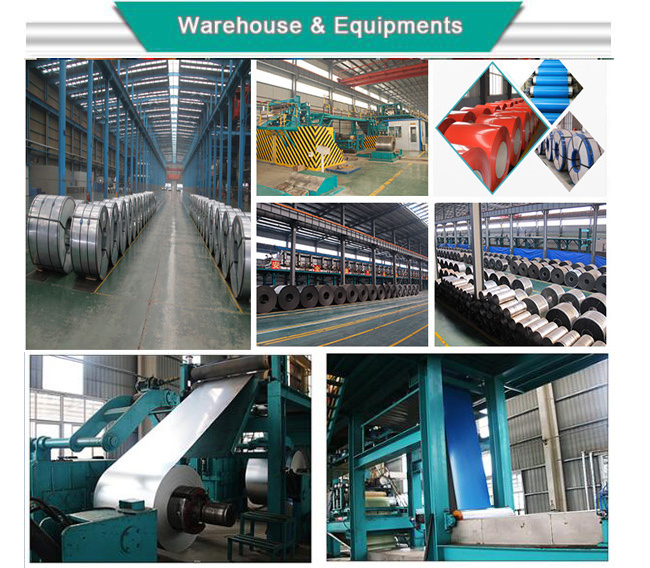 Full-Size Hot-DIP Galvanized Sheet Galvanized Steel Strip