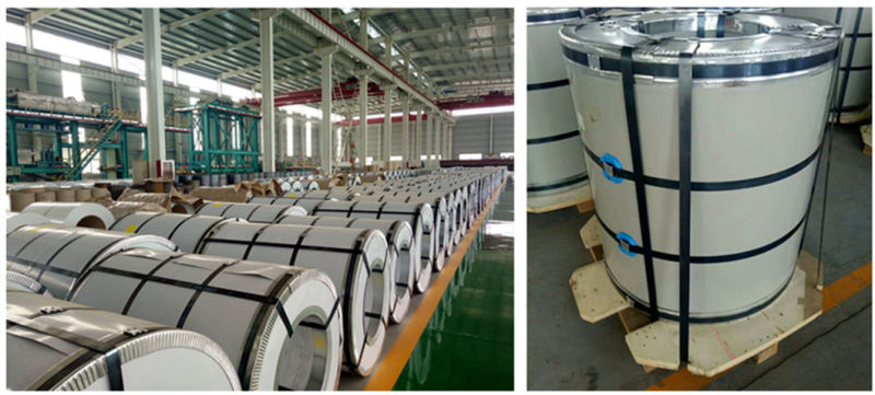 Best Price Galvanized Steel in Coil Cr Color Coated Coil for Building Material