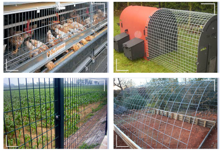 Hot DIP Galvanized Welded Wire Mesh for Fence