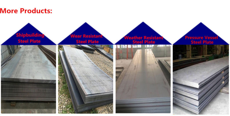 Metal Material Cold Rolled 201 304 316 Stainless Steel Sheet/Plate