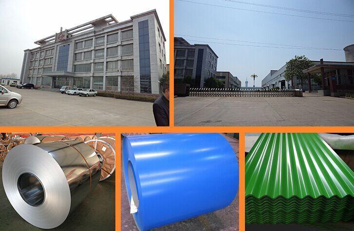 Zero Spangle Galvanized Metal Sheet Z275 Zinc Coating Galvanised Coil