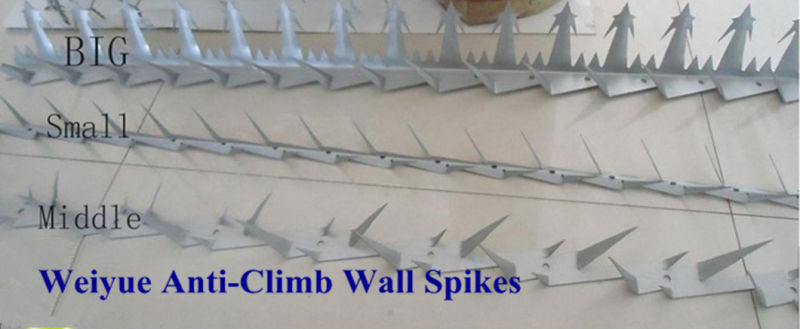China Anti Climb Wall Spike / Security Razor Wall Fence Spikes
