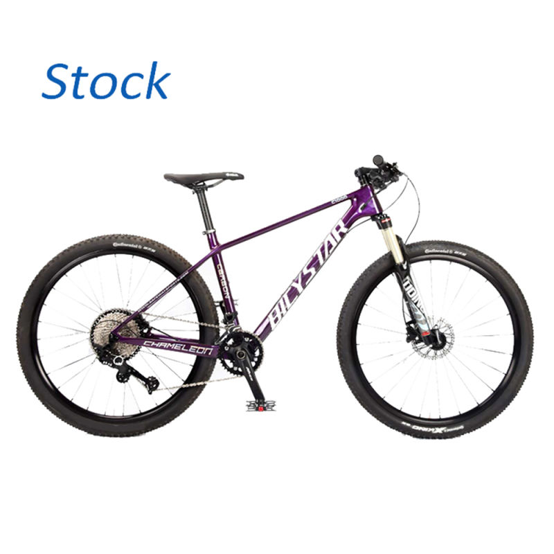 Carbon Fiber Mountainbike 29 Inch/Carbon Fiber Mountain Bike MTB/Carbon Fiber Road Bicycle