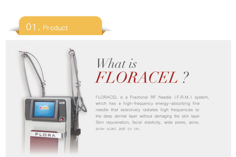 RF Mts Skin Rejuvenation/Skin Care Beauty Salon Machine