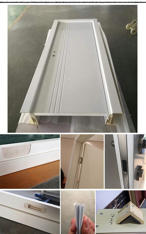 Waterproof PVC/WPC Skin Door for Israel Market Painting Color