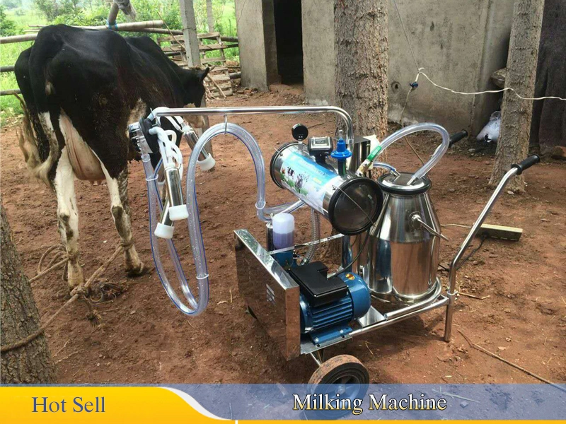 Recorder Milking Machine with 25L Milking Bucket