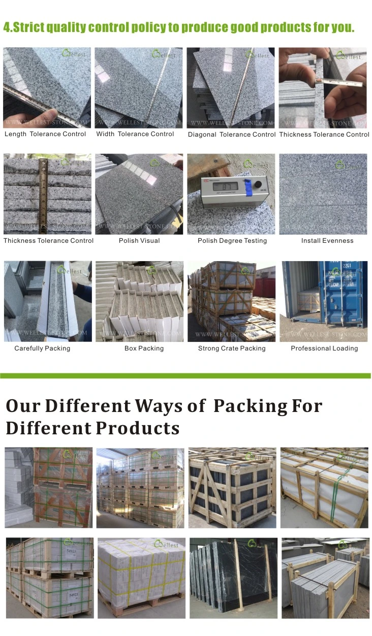 2019 Flamed Brushed China Black Granite Paving and Coping Stones, Black Granite Bullnose Steps