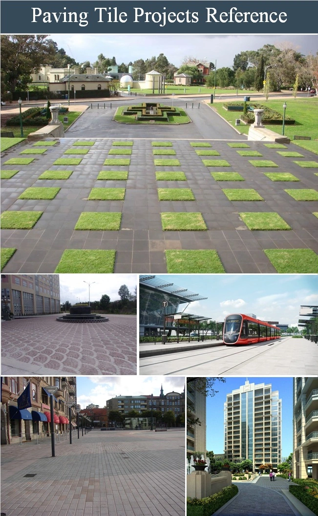 G603/G654/G682 White/Grey/Black/Yellow Granite/Basalt/Limestone Flooring/Wall Cladding/Stairs/Steps/Pool Coping Stone Tile Paving