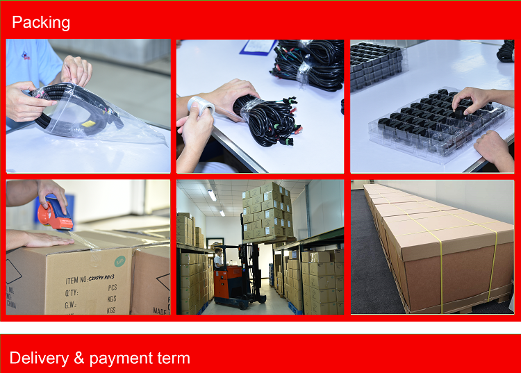 Customized Cable Assemblies Molex Micro-Fit Overmolded Cable Assemblies OEM Molded Wire Assembly