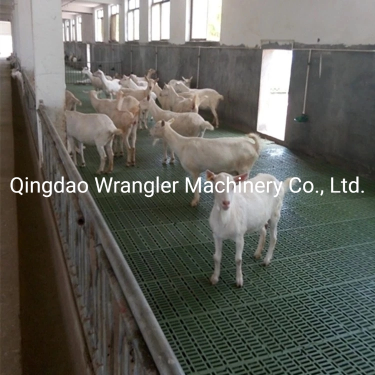 Plastic Shed Grating Goat Slat Floor Goat Sheep Pig Plastic Slatted Flooring