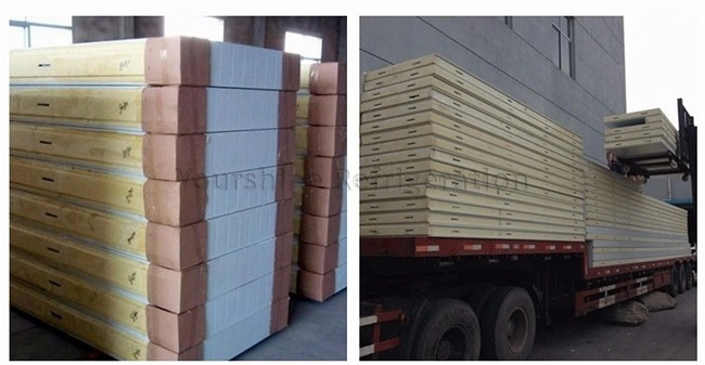 ISO, SGS 250mm Galvanized Steel PIR Sandwich Panel for Meat/ Vegetables/ Fruit