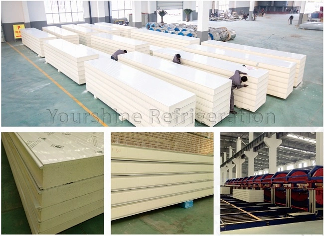 ISO, SGS 250mm Galvanized Steel PIR Sandwich Panel for Meat/ Vegetables/ Fruit