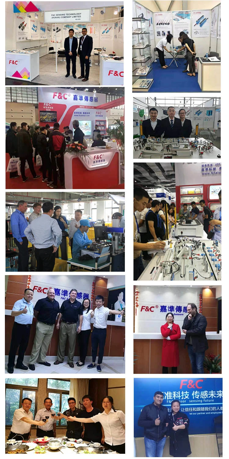 35mm Array Throughbeam Fiber Optic Sensors Manufacturer Plastic Detect Sensor