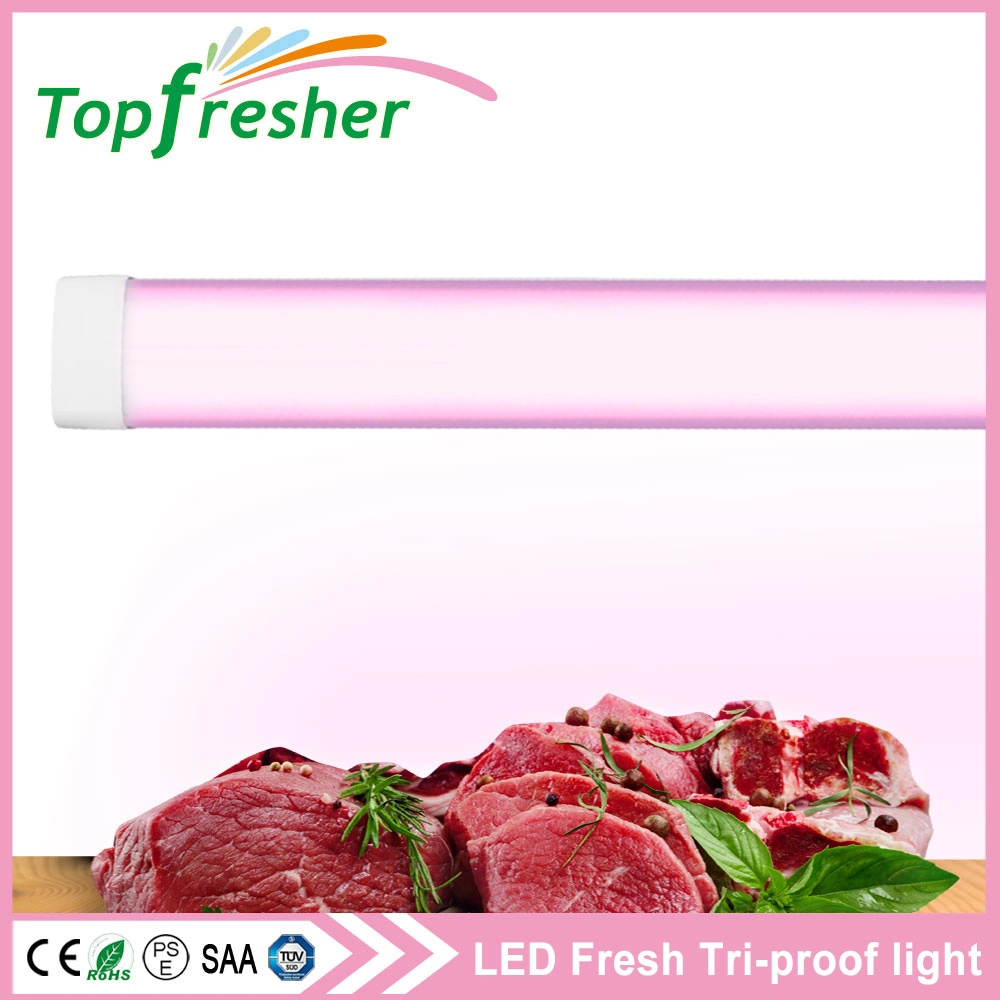 Ceiling Lamp Fixture 60W 1200mm IP65 LED Tri-Proof Tube Light