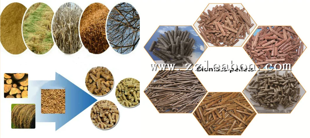 1t/H Wood Sawdust Powder Rice Husk Straw Pellet Making Plant