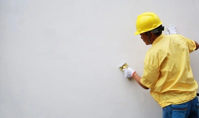 Vae Polymer/Rdp Liquidity Powder Used in Waterproof Putty Powder for Inner Wall and Exterior Wall