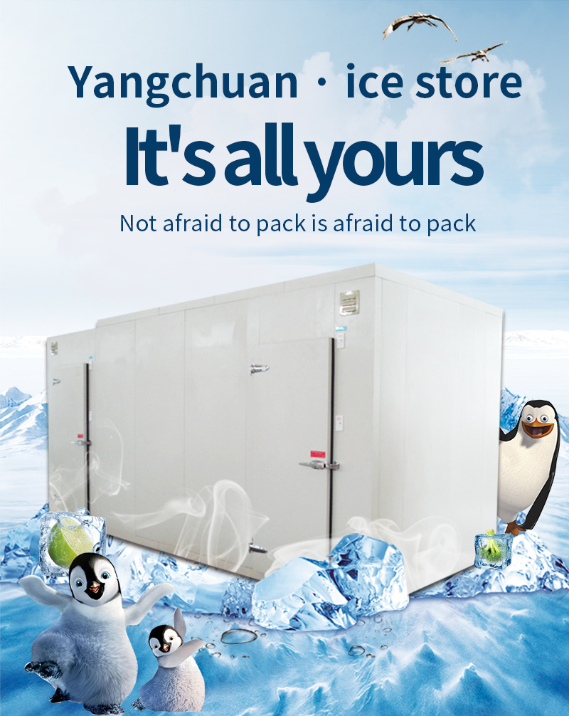 Industrial Cold Room/ Commercial Cold Storage