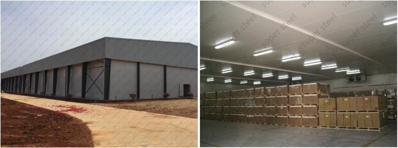 Vegetable Storage Cooler Cold Room Cold Storage