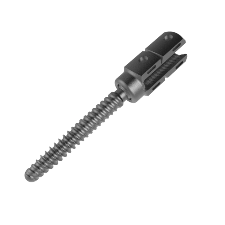 Spine Pedicle Screw Titanium Spine Implant Titanium Spinal Implant