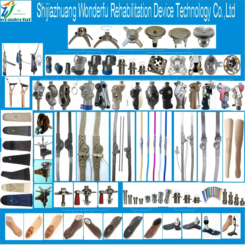 Ortho Knee Joint Orthotic Spring Lock Orthotic Knee Joint for Child