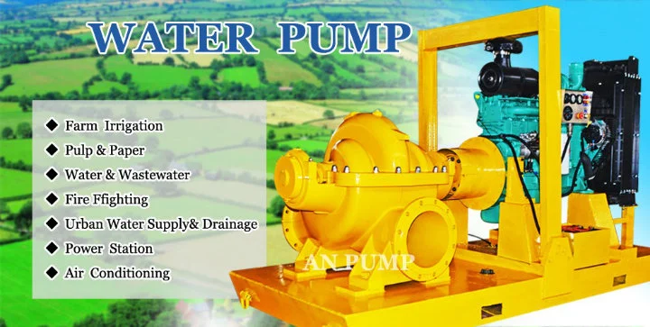 Double Entre Big Flow Diesel Engine Pump Agriculture Water Pump Set