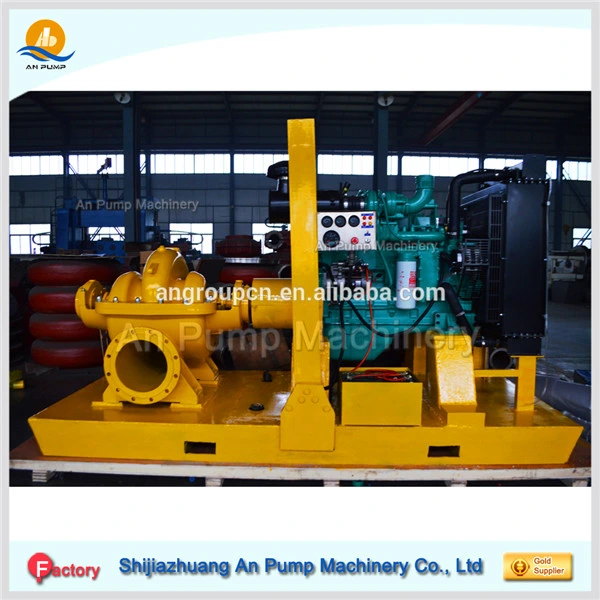 Double Entre Big Flow Diesel Engine Pump Agriculture Water Pump Set